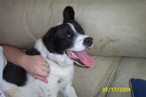 Poor, exhausted Eddie