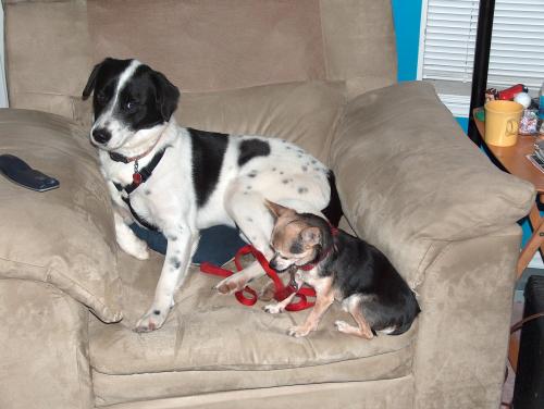 There's not enough room in here for both of us...