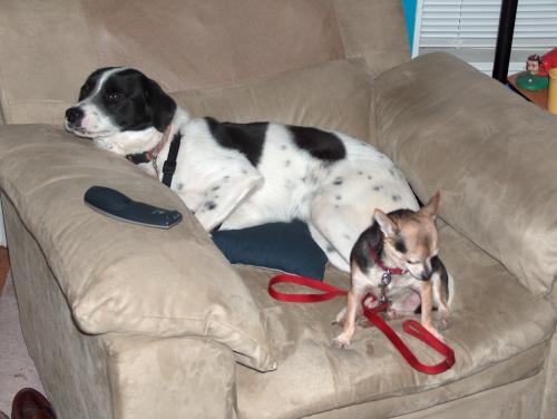 Eddie doesn't share well...