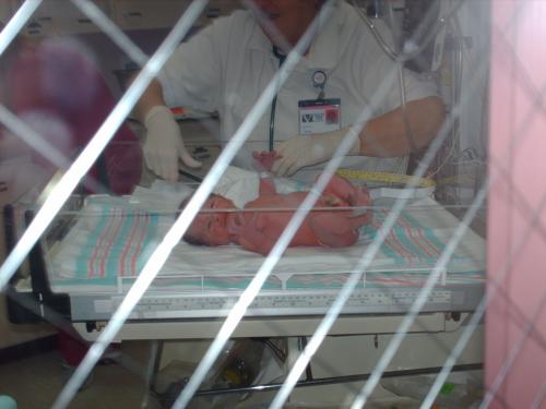 Tyler through the window