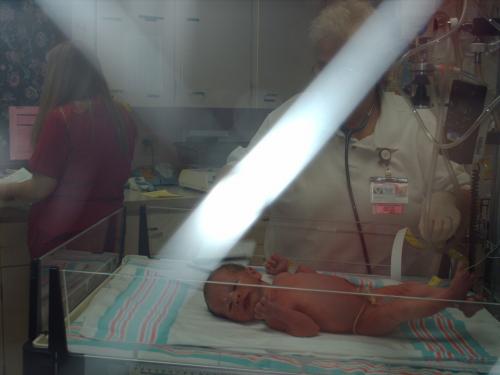 More of Tyler through the window