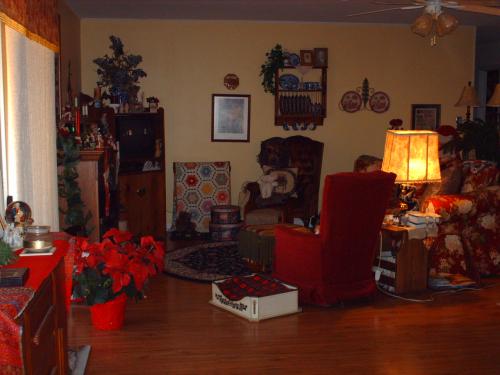 the den area