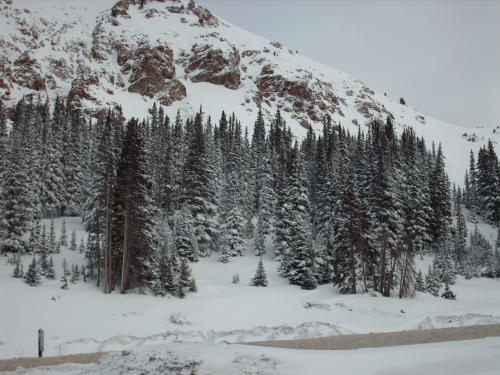 It came a blizzard the day before we left, but what a pretty sight!