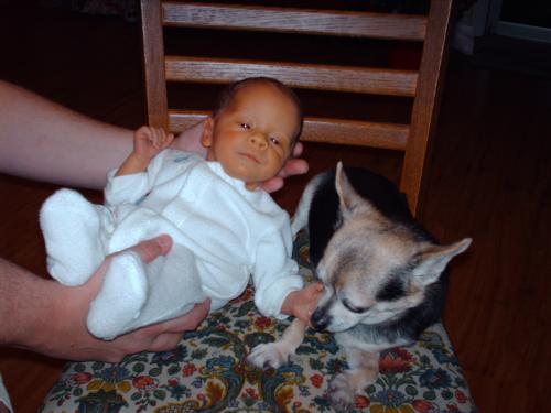 Homer does not want to share his chair