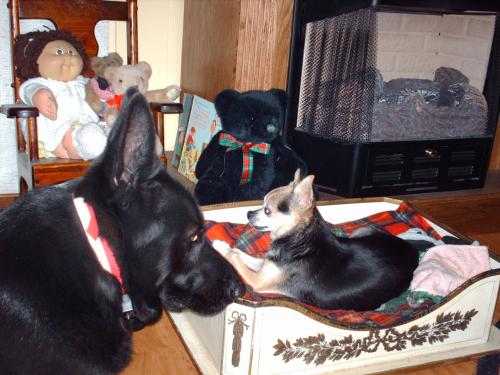 Bill & Homer, big buds