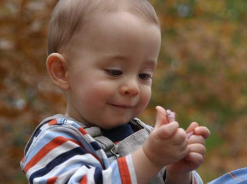 Tyler - the joy of a leaf