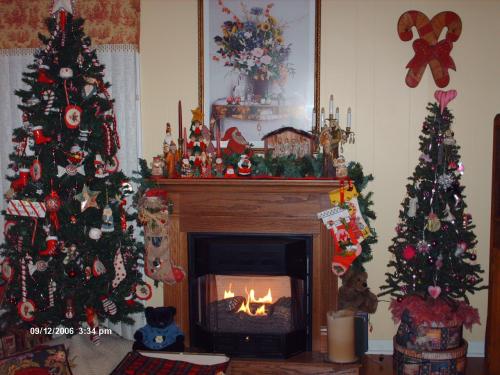 Old Fashioned & Pink Tree