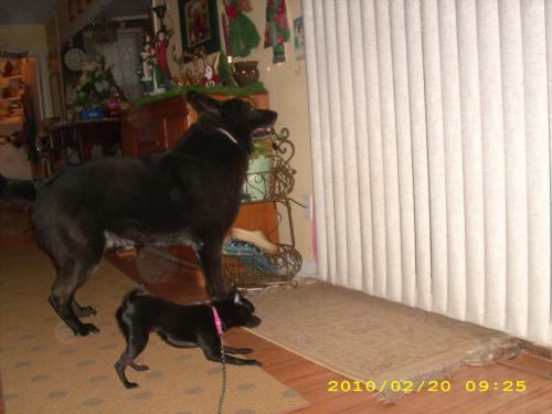 Bill & Susie May 2010