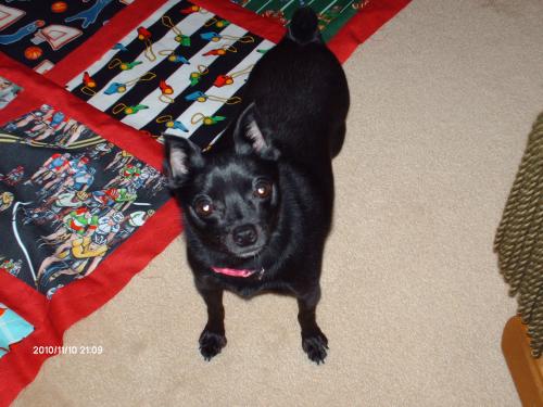 Susie wants in the pic