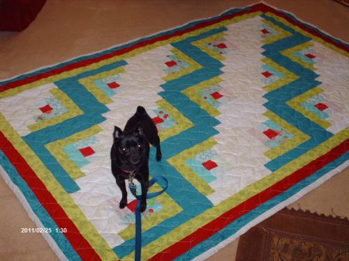 Susie likes Major's quilt