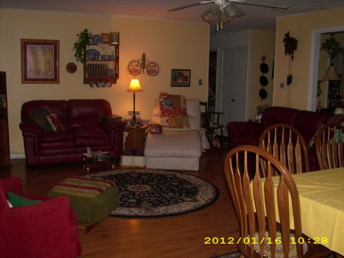 view of red leather & chaise